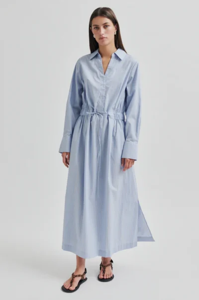 Alinas dress