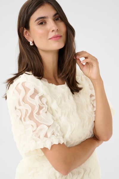 Fauria paita - Image 2